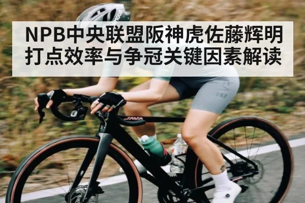NPB中央联盟阪神虎佐藤辉明打点效率与争冠关键因素解读