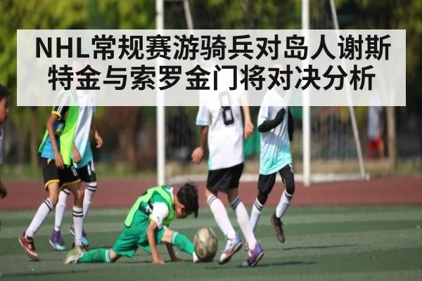 NHL常规赛游骑兵对岛人谢斯特金与索罗金门将对决分析